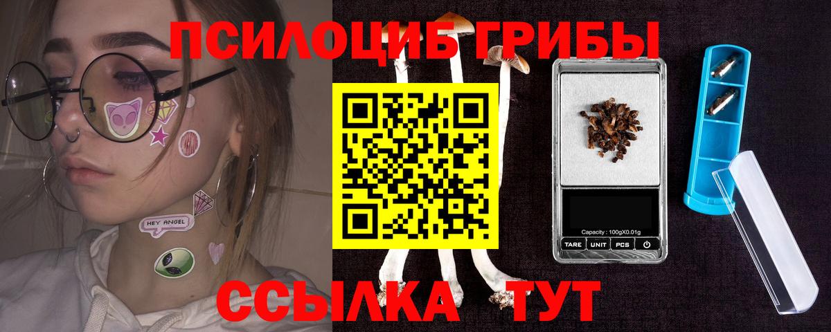 Острогожск  Псилоцибиновые грибы GOLDEN TEACHER  Вход с VPN  Псилоцибиновые грибы MAGIC MUSHROOMS 